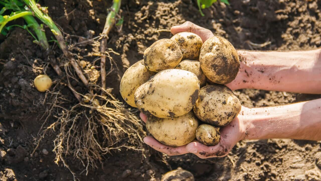 Image for read more article 'READ MORE'