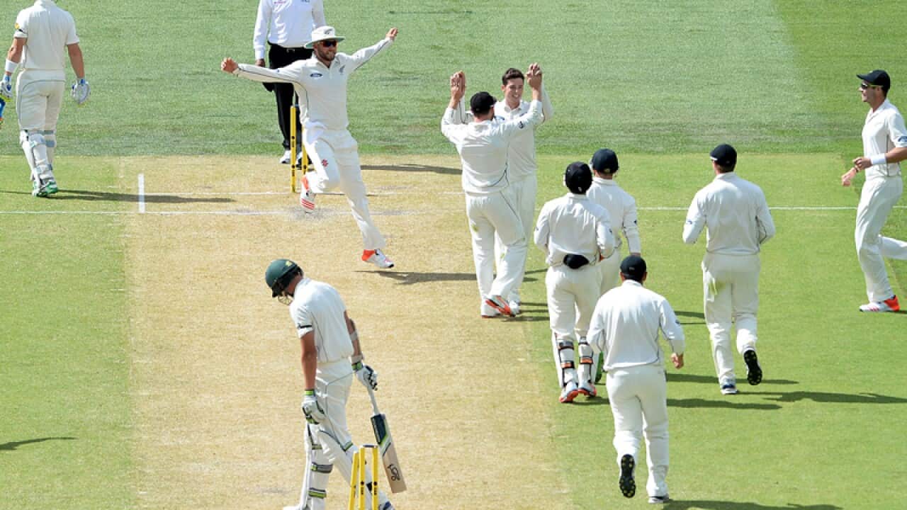 Test match between Australia and New Zealand in Adelaide