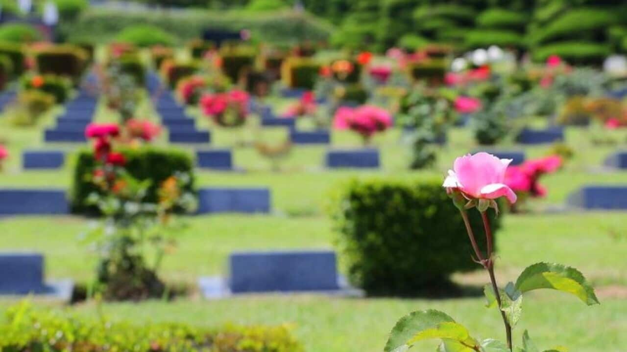 United Nations Memorial Cemetery in Korea