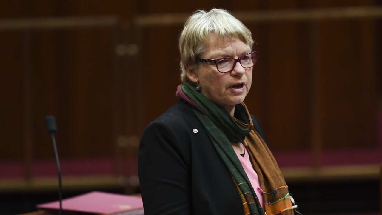 Greens Senator Janet Rice in the Senate