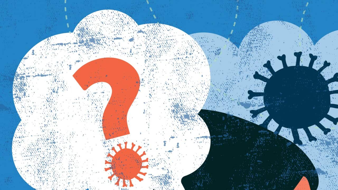 Image for read more article 'veja ainda'