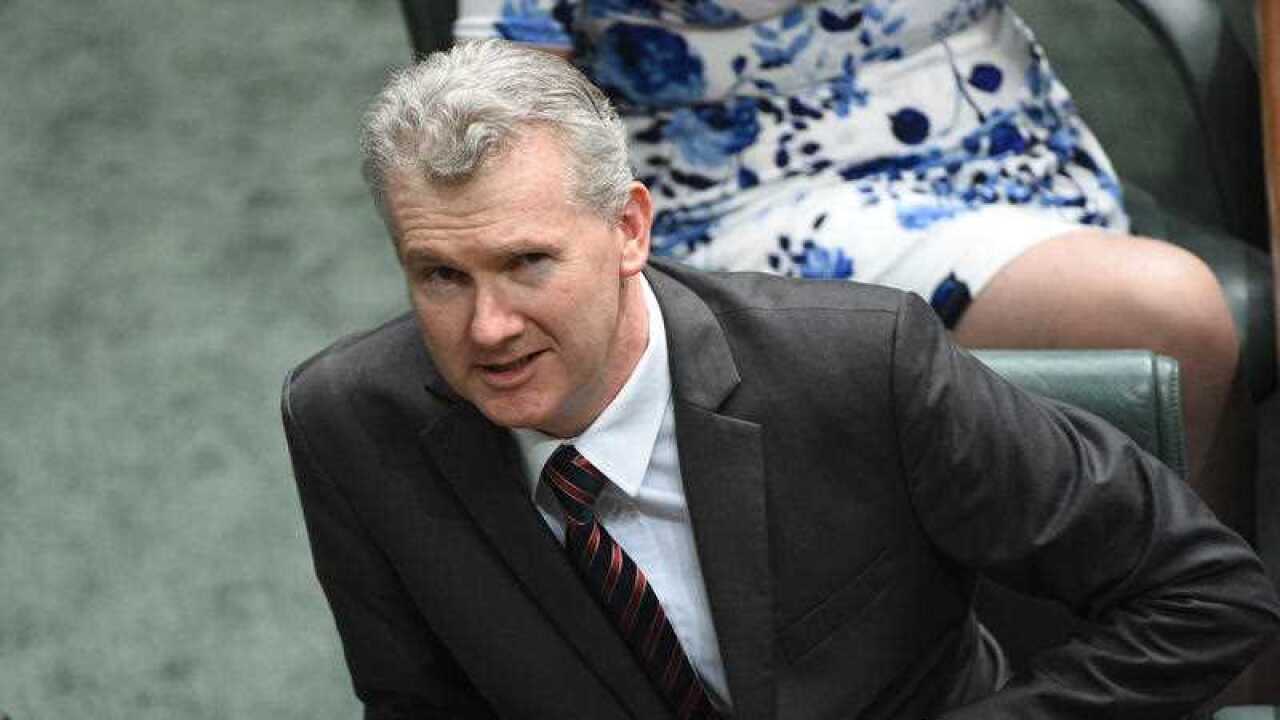 Tony Burke
