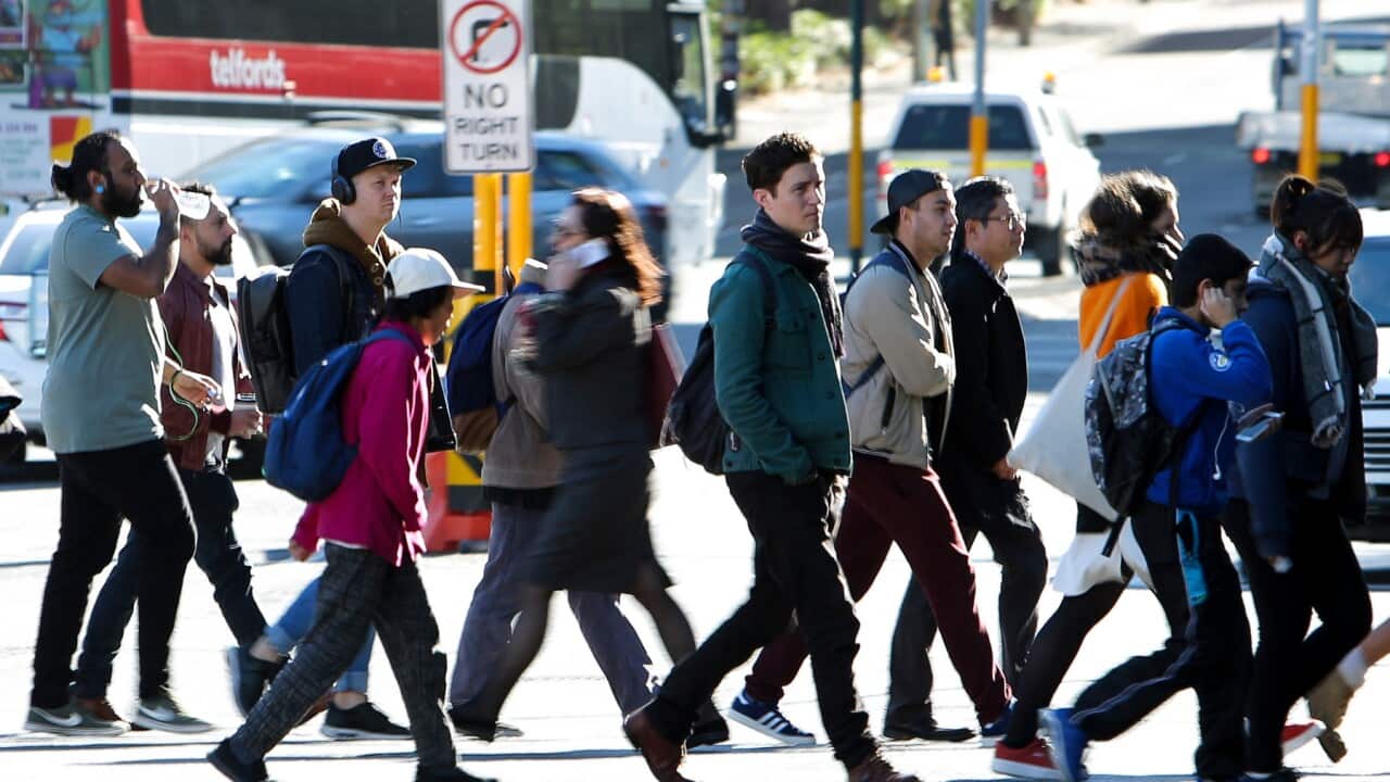 A new migrant employment legal service has been launched in NSW