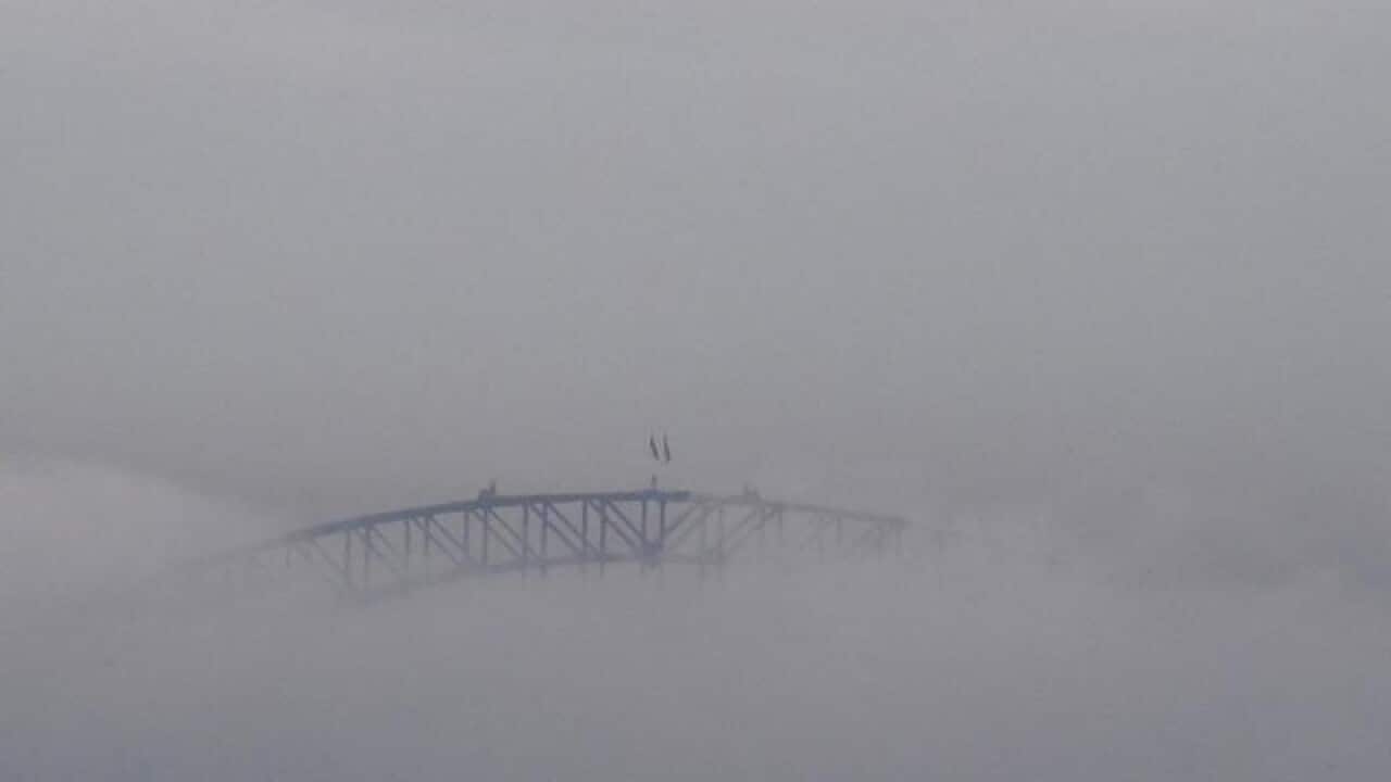 Sydney fog