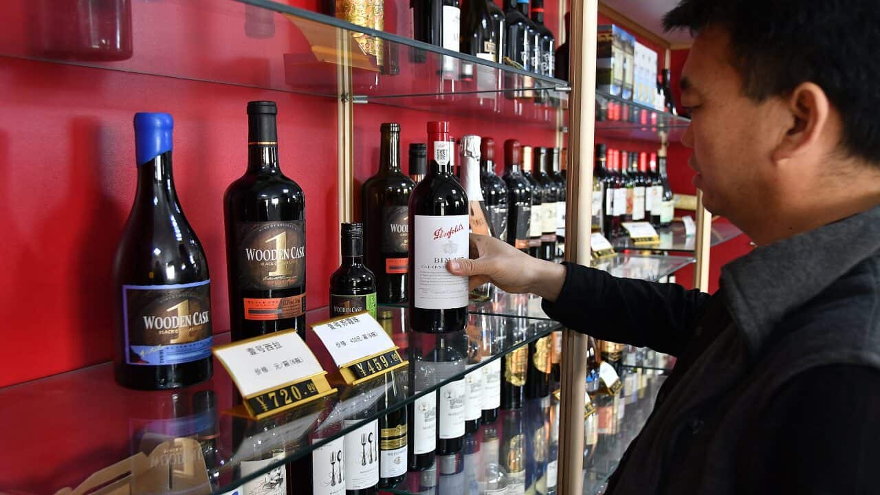 A dealer displays Australian wines at a wholesale department of imported wines in China's Shandong Province on 27 November.