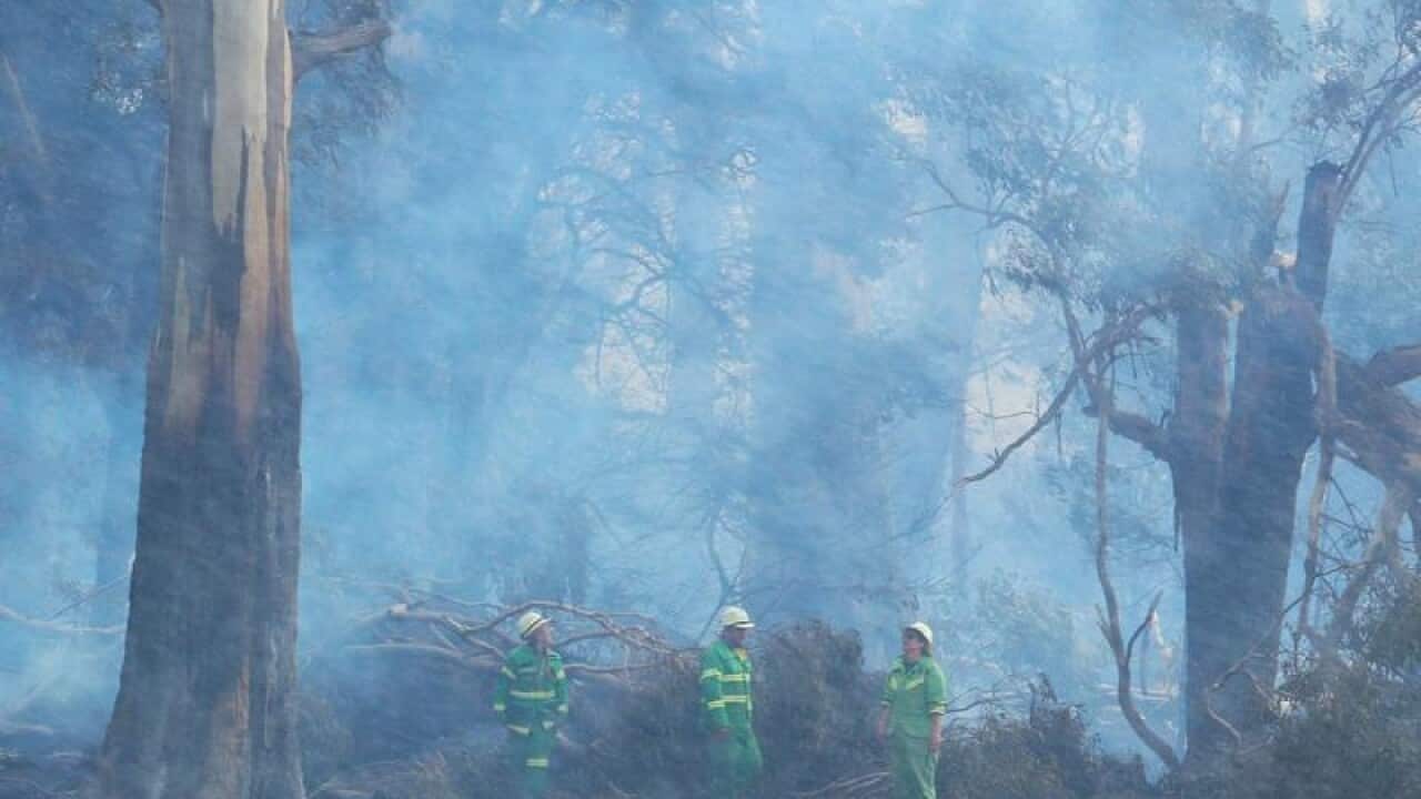 Firefighters inspect burnt out bushland in March in Victoria.