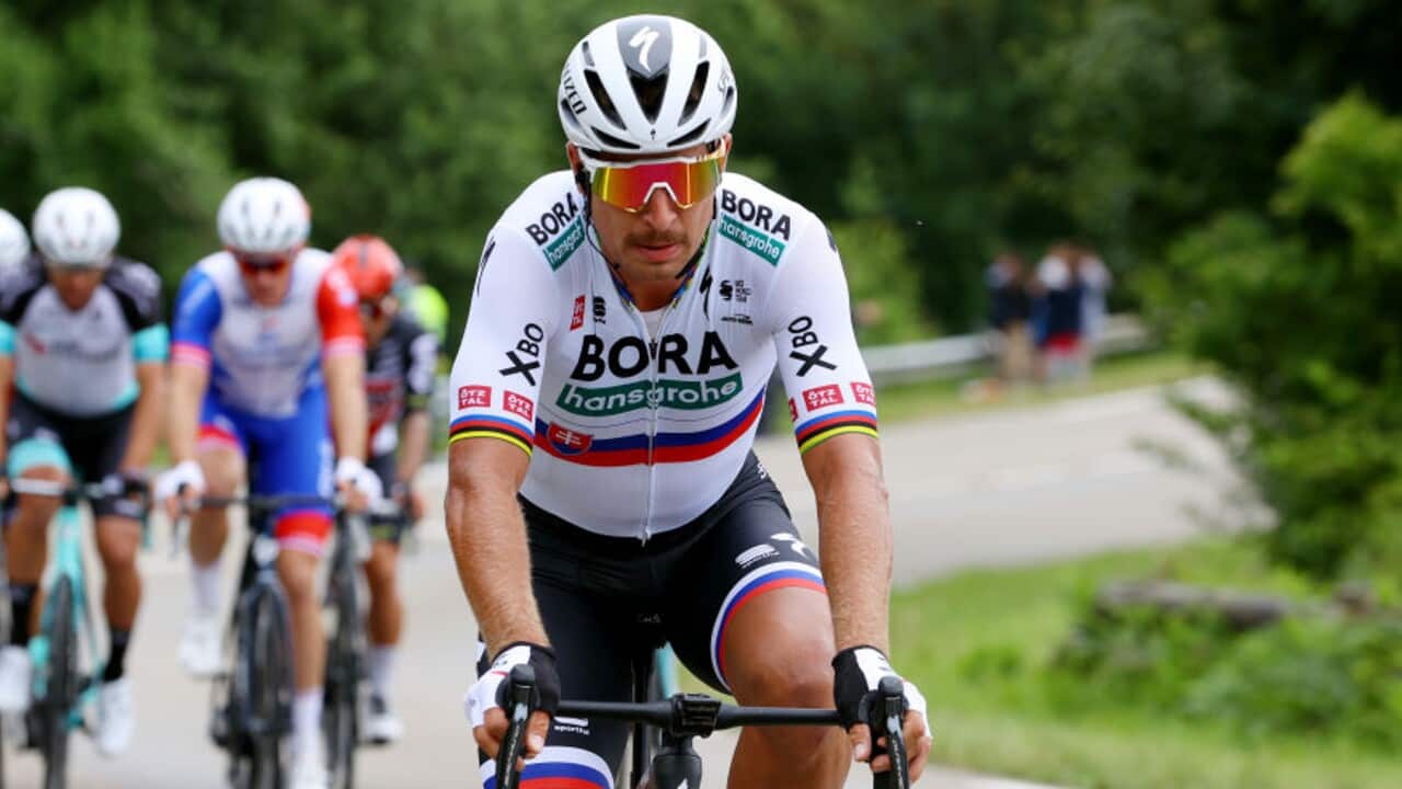 Peter Sagan in action for Bora-Hansgrohe at the Tour de France