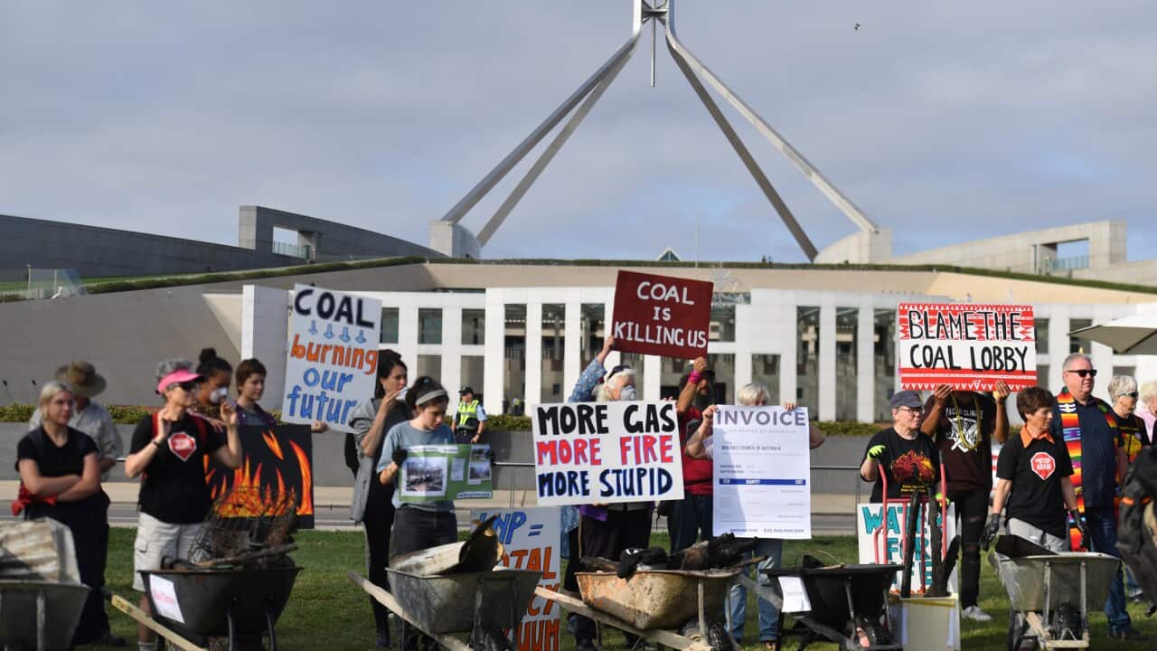 Bushfire survivors converge outside Parliament
