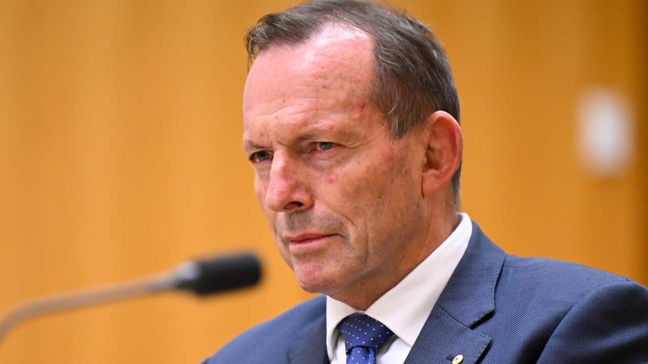 TONY ABBOTT VOICE INQUIRY