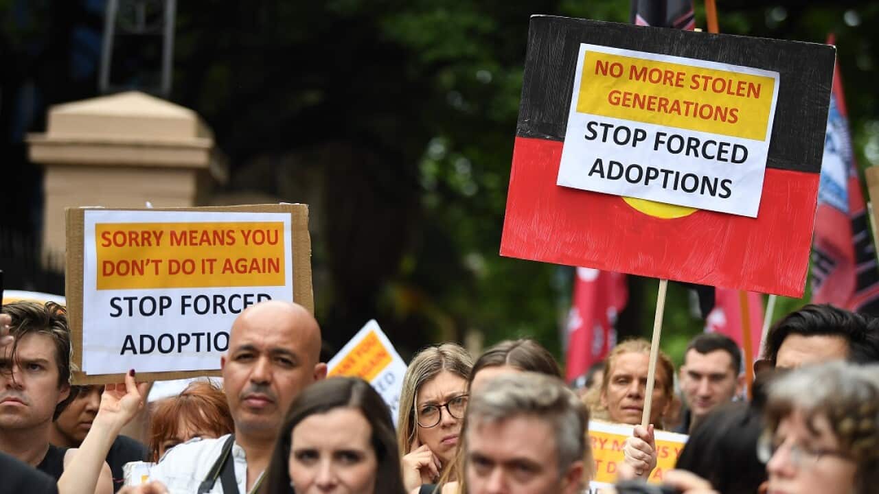 Protesters hold placards at the Stop Forced Adoptions: Reject the Child Protection Bill Protest outside Parliament House in Sydney, Wednesday, November 14, 2018. (AAP Image/Joel Carrett) NO ARCHIVING