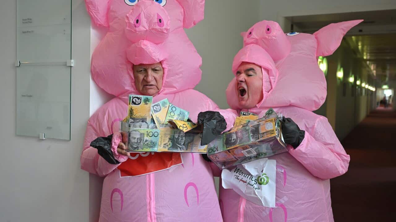 BOB KATTER ANDREW WILKIE SUPERMARKET PIGS