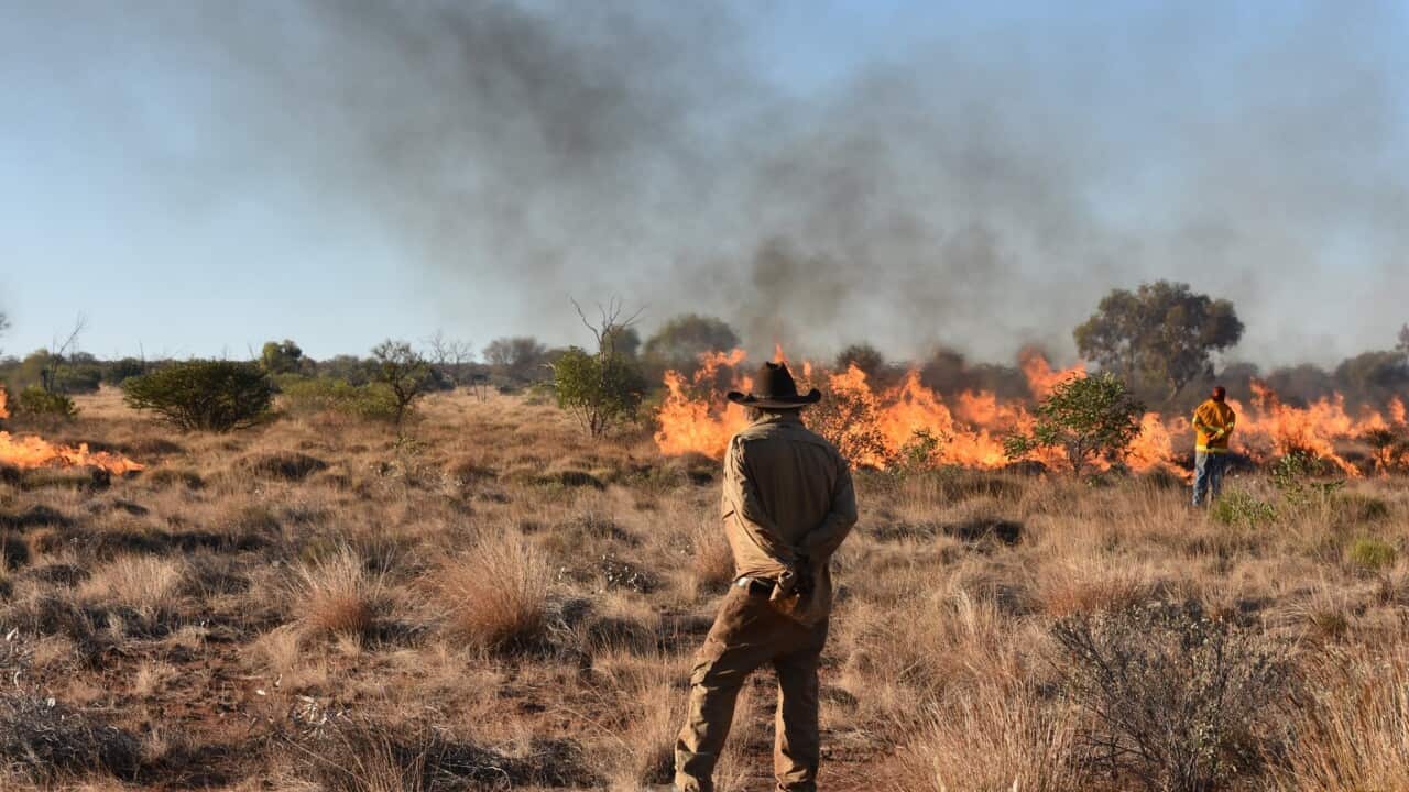 Rangers conducting a controlled burn in the Birriliburu Indigenous Protected Area in Western Australia.