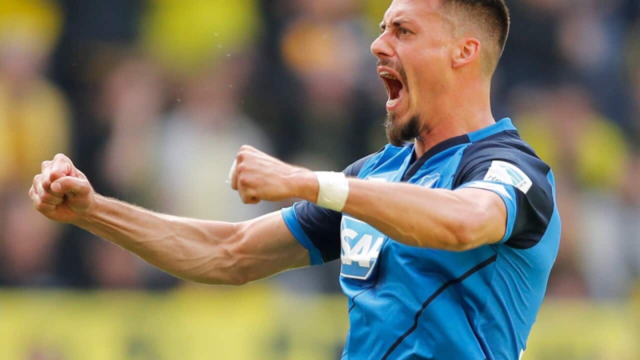 Hoffenheim striker Sandro Wagner
