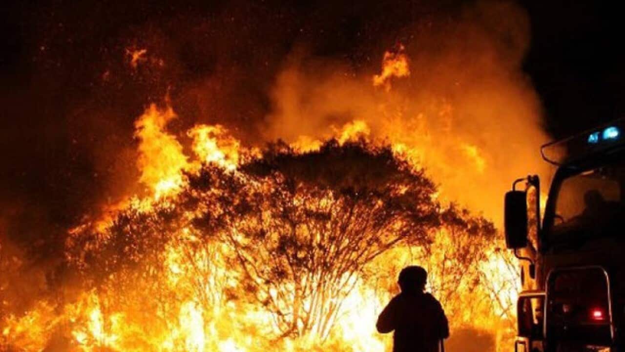 Australian bushfires