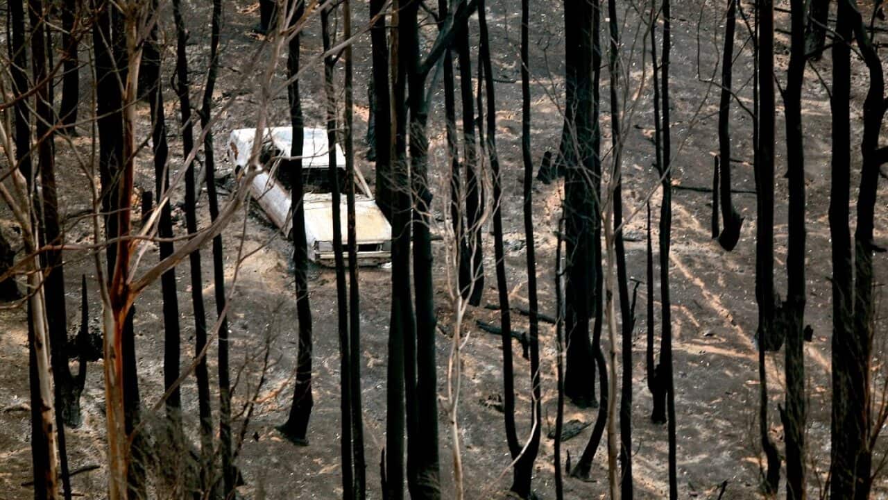 Death Toll Nears 200 As Bushfires Continue To Blaze Through Victoria
