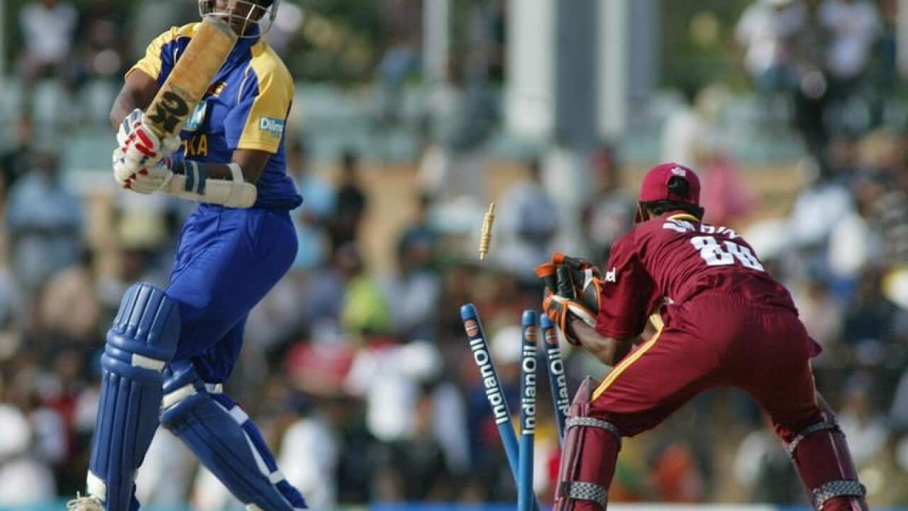cricket