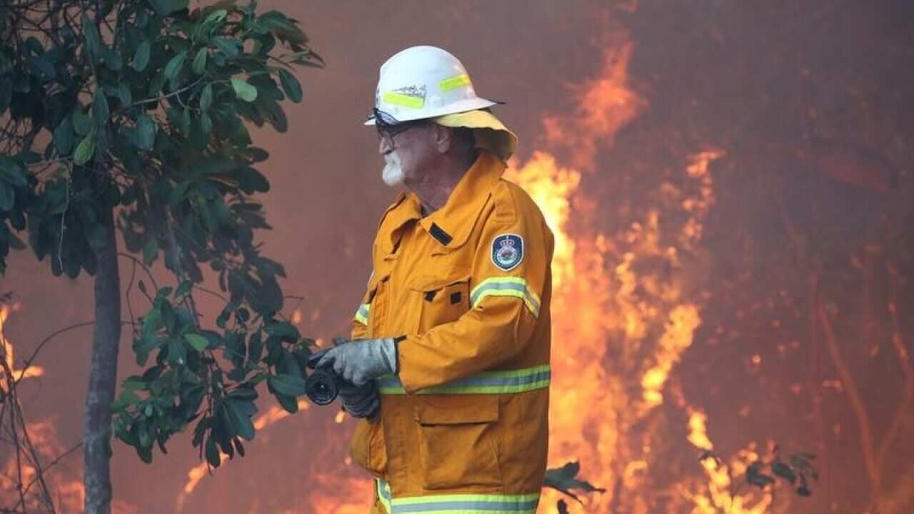 NEW SOUTH WALES BUSHFIRES