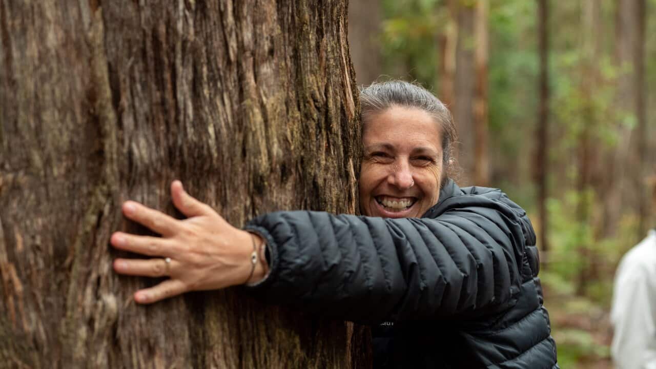 Image for read more article 'READ MORE'