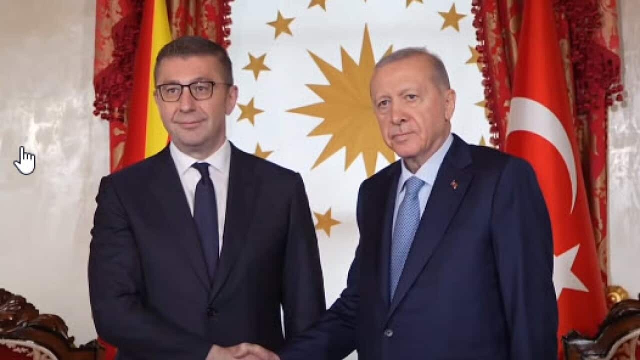 MICKOSKI Erdogan.jpg