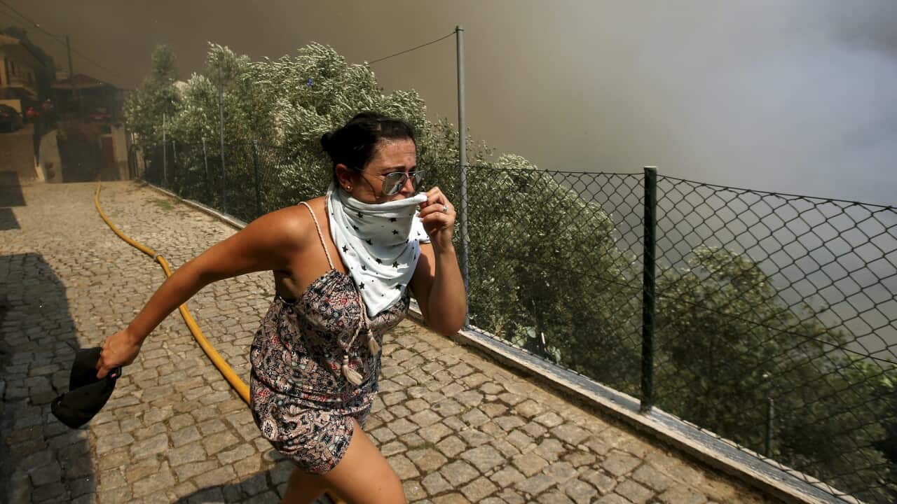 Forest fire in Celadinha, Arouca, Portugal, 09 August 2016.