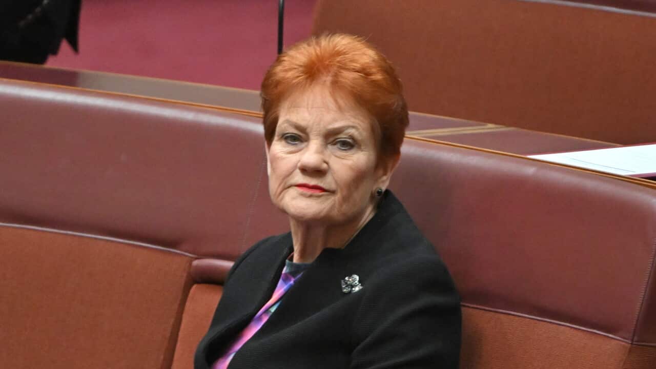 Pauline Hanson once praised Putin. Now she says she doesn't support his Ukraine war
