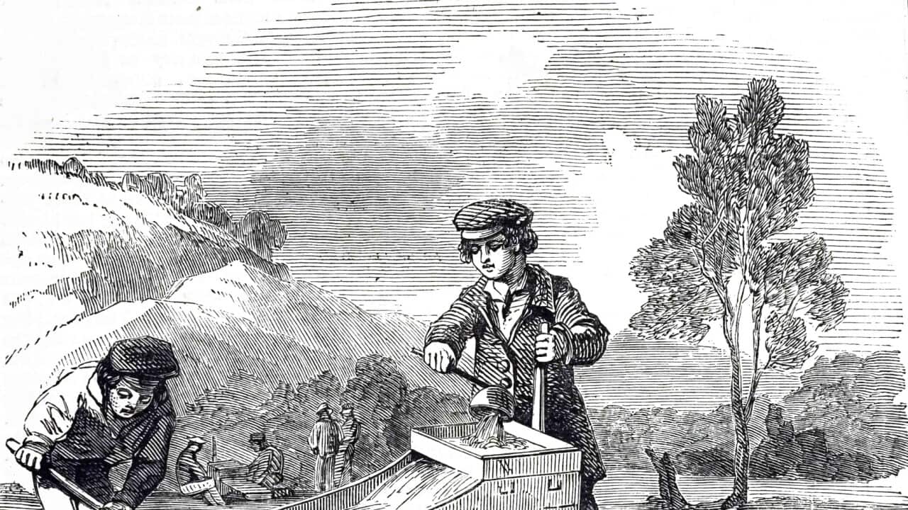 Children cradling for gold.