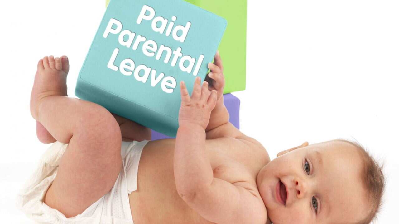 Parental leave crack down hurts mums: ALP