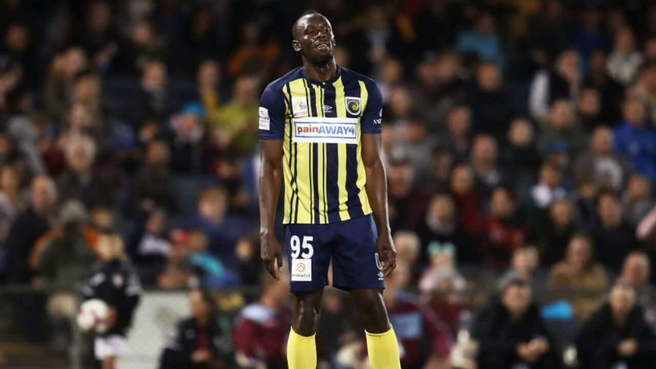 Bolt