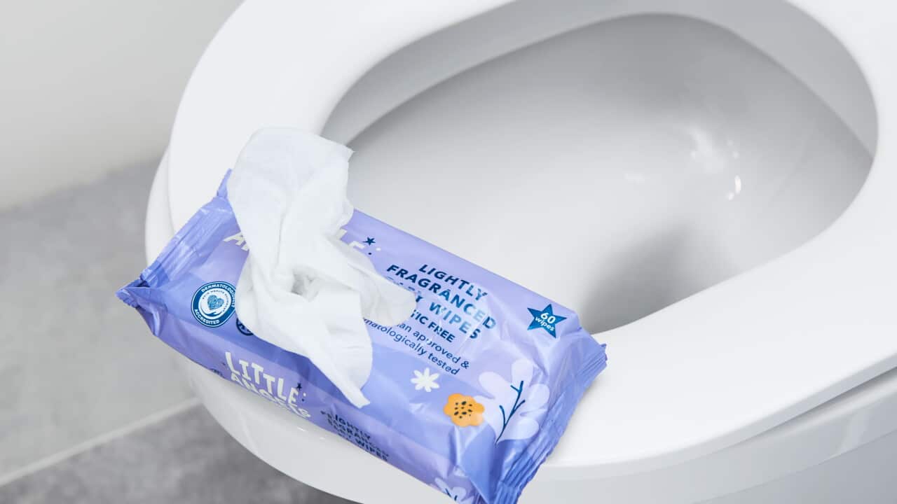 Wet wipes on toilet