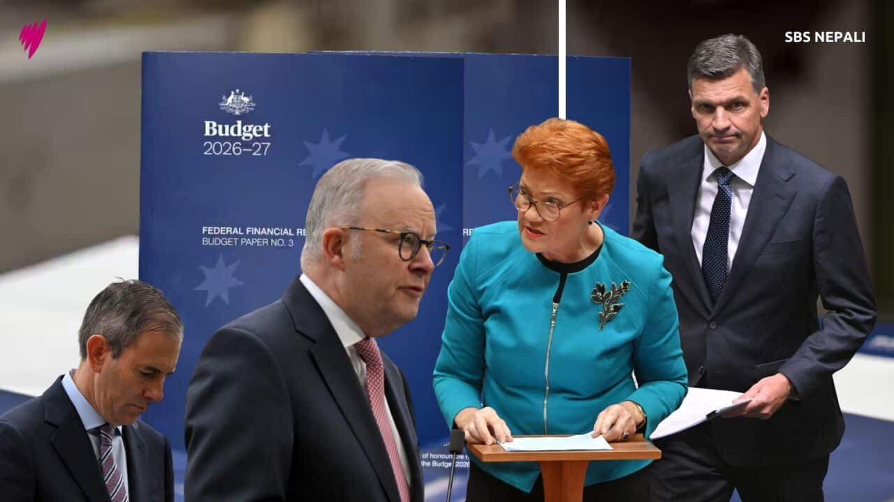 Coalition leader Angus Taylor has delivered his first budget reply, Pauline Hanson's anti-immigrant One Nation accuses the opposition of copying their policies.