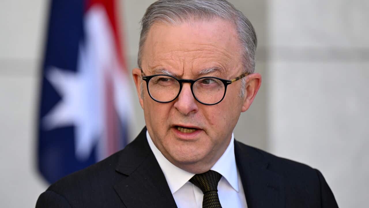 Anthony Albanese, wearing a suit, tie and glasses, is speaking.