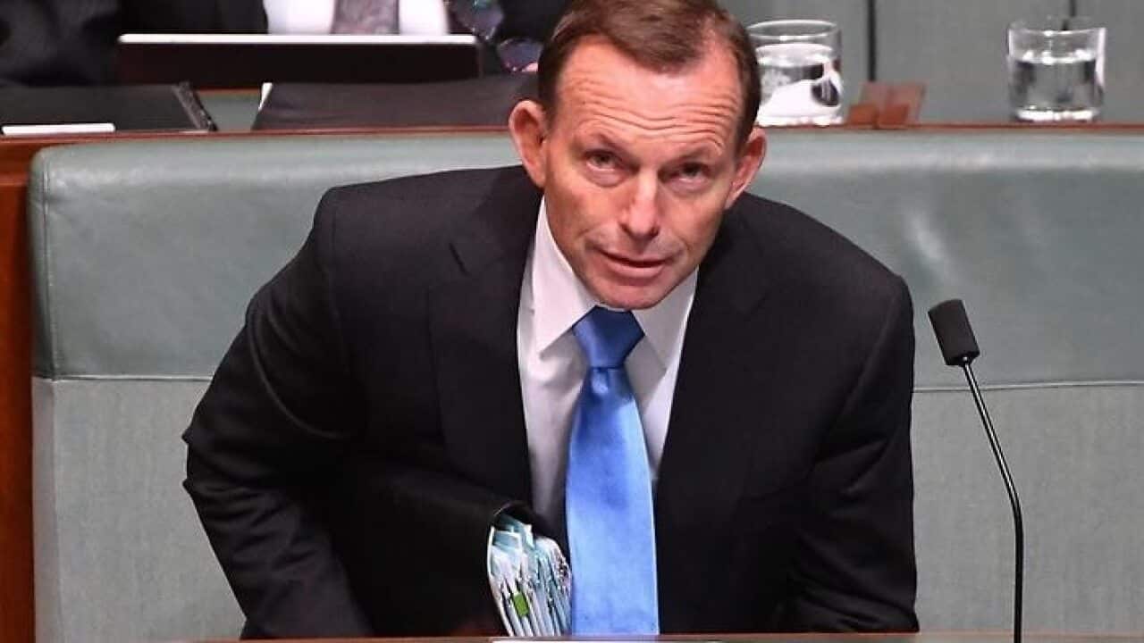 Former PM Tony Abbott calls for reduced immigration