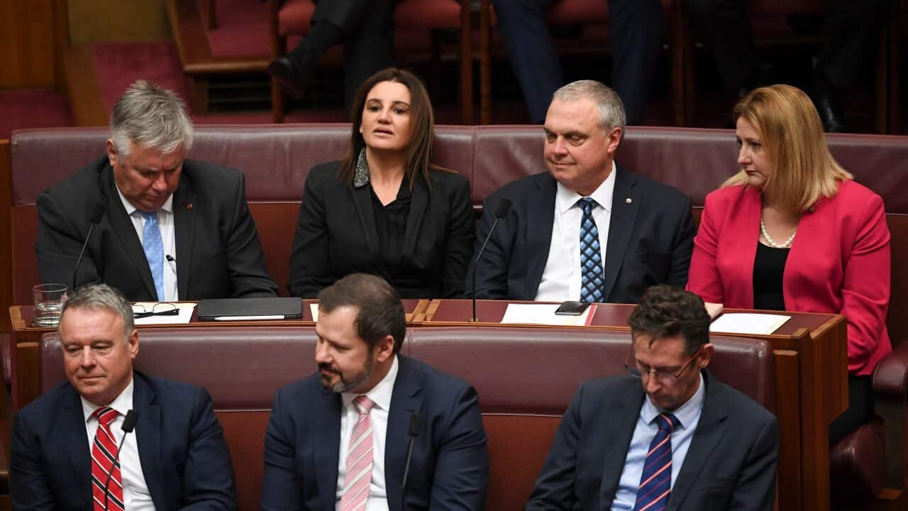 Jacqui Lambie in between two Centre Alliance senators