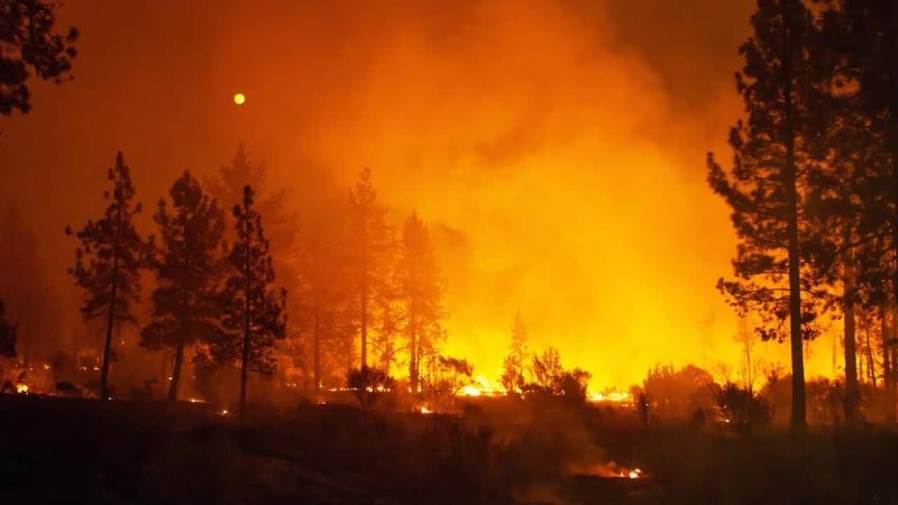 The Cranston Fire near Idyllwild, California.