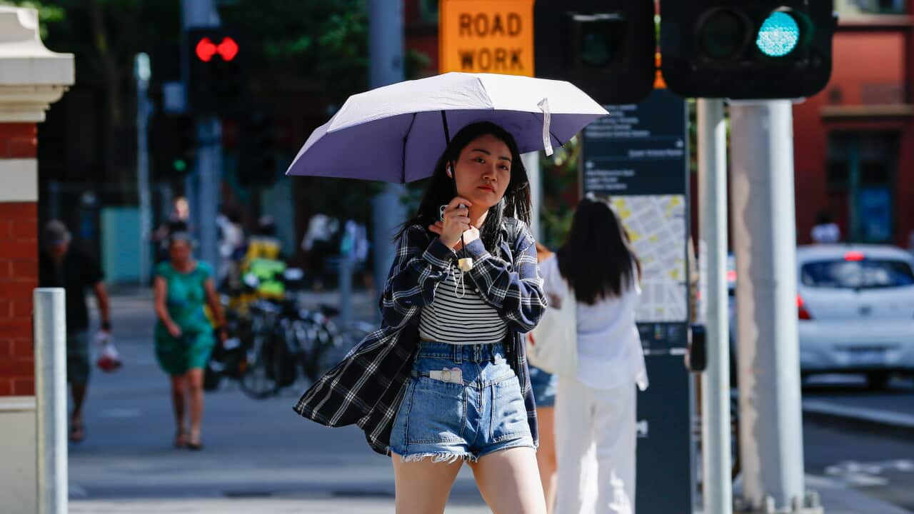 Melbourne Extreme Heatwave in Australia - 07 Jan 2025