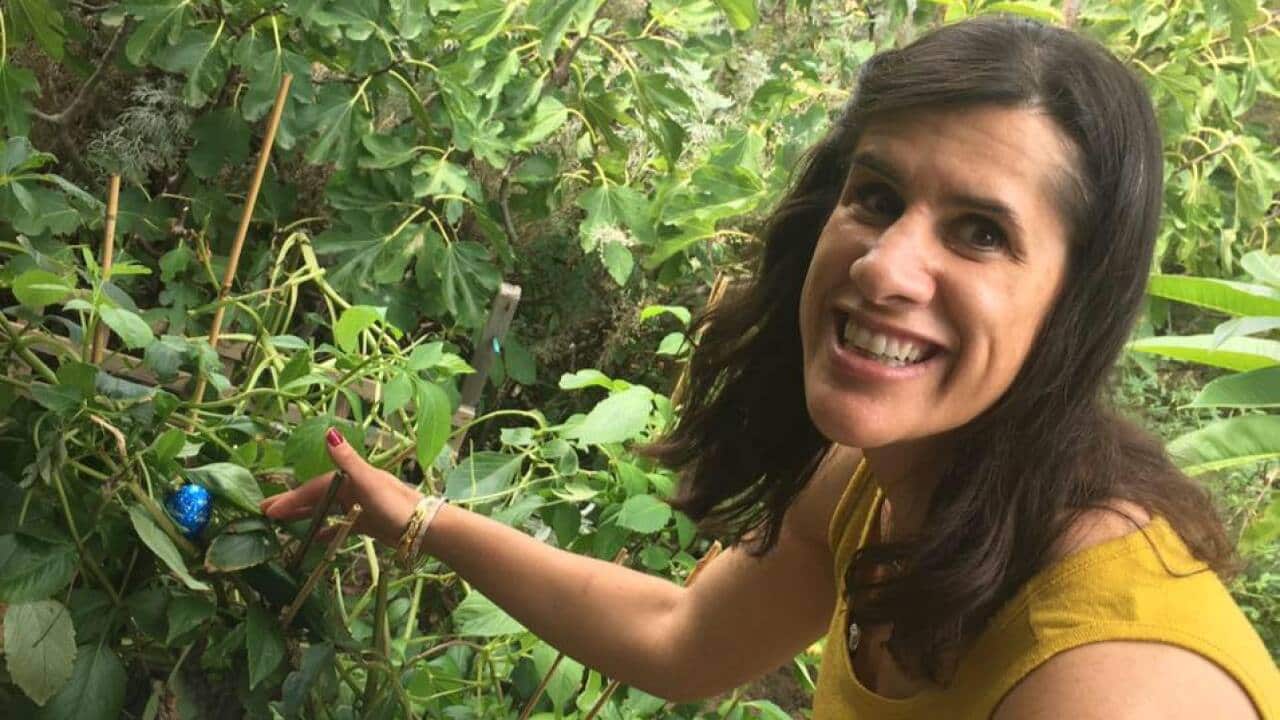 Zeliha Iscel