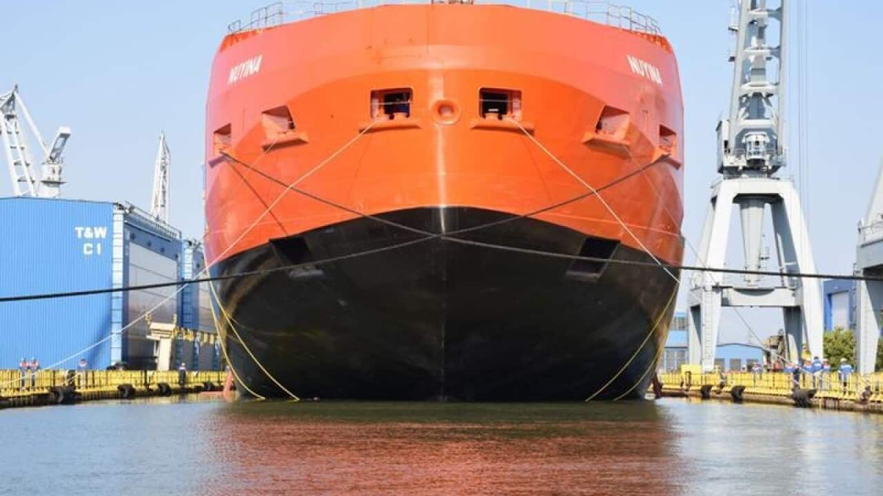 RSV Nuyina