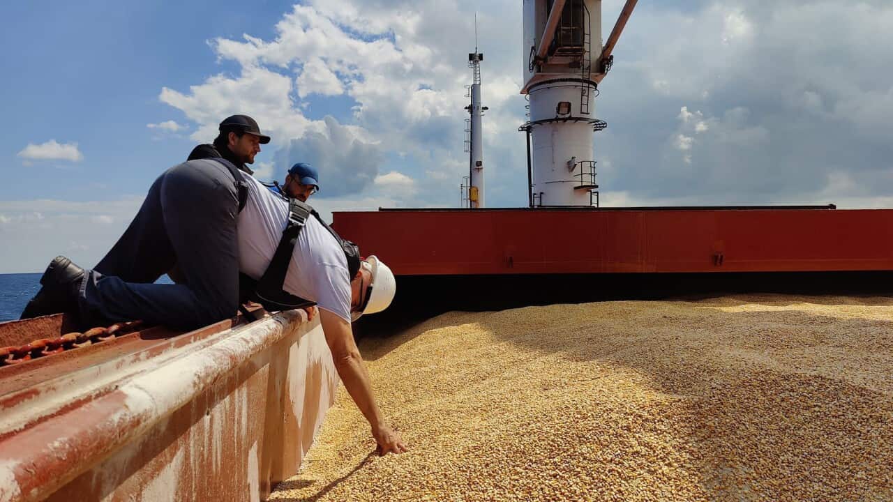 TURKEY UN RUSSIA UKRAINE GRAIN EXPORT