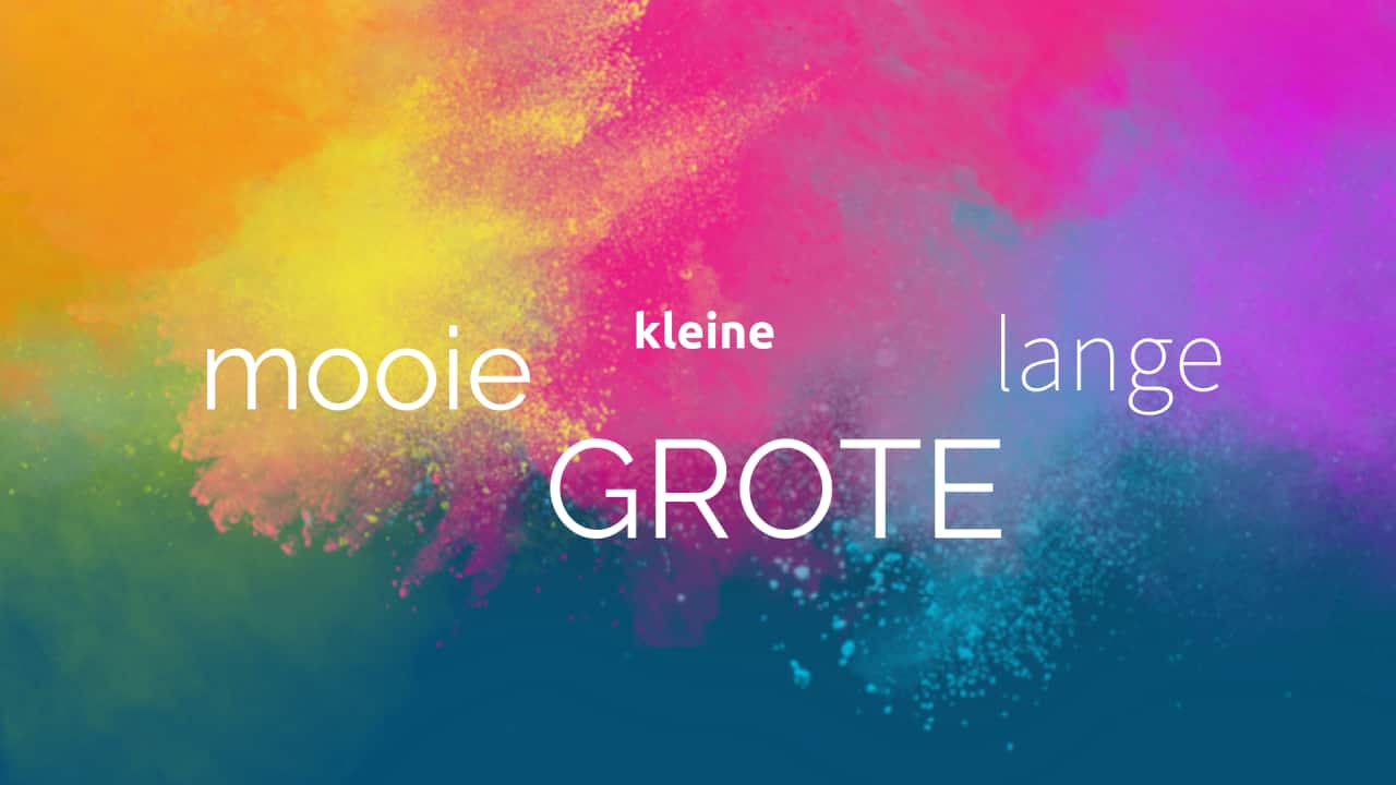 bijvoeglijk naamwoorden