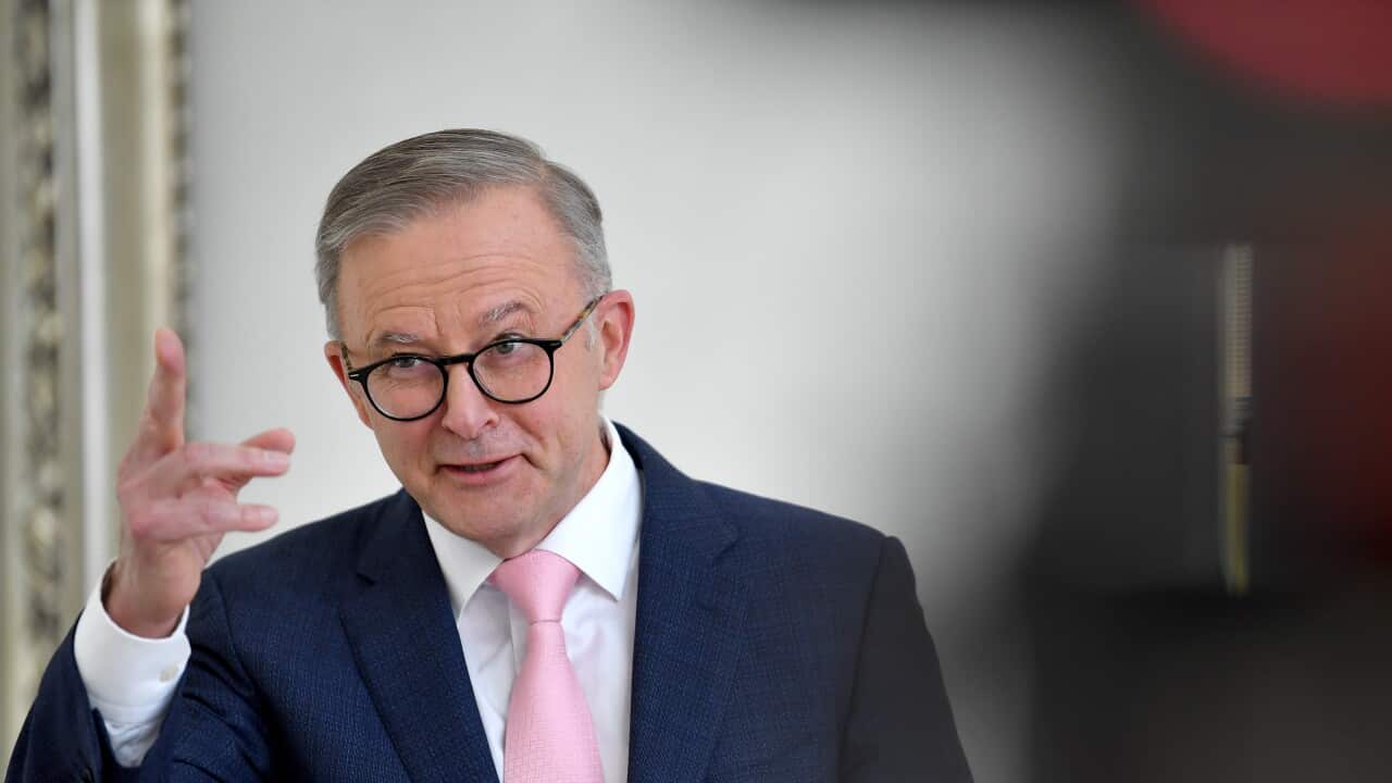 Prime Minister Albanese