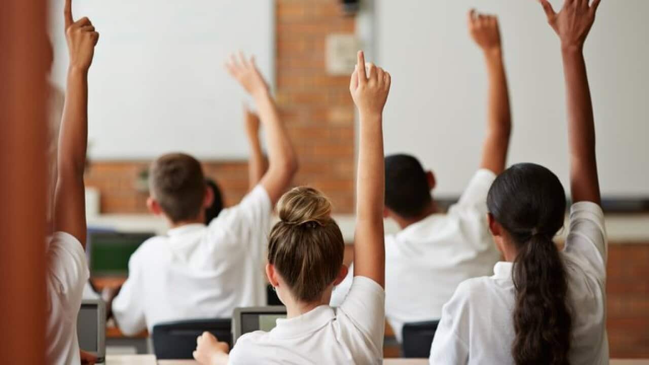 School students with raised hands, back view