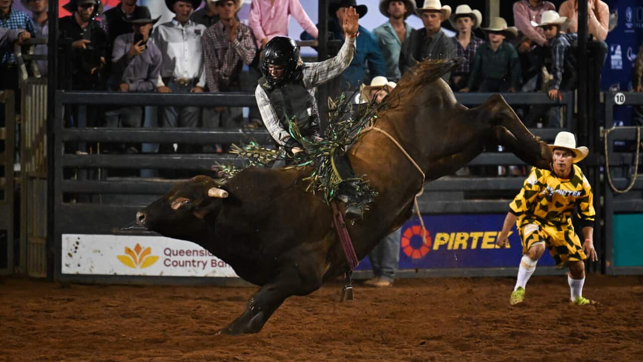 Mt Isa Rodeo