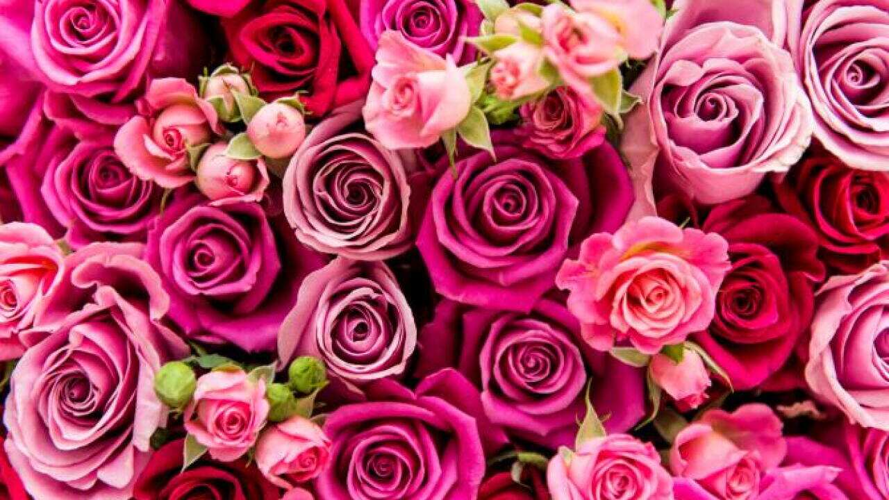 Valentine day