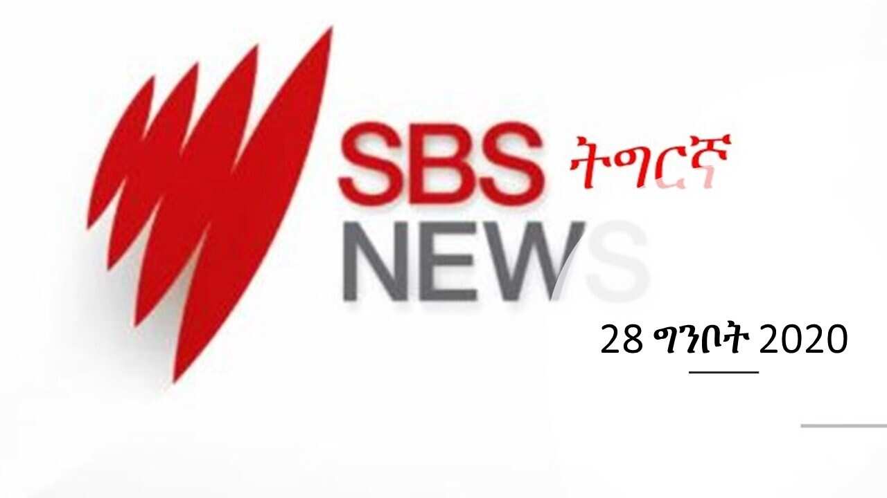 SBS Tigrinya News