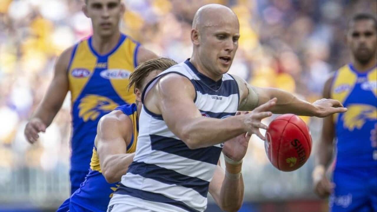 Gary Ablett of Geelong