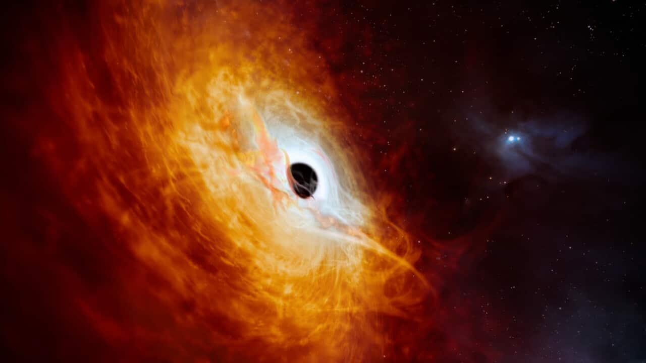 Artist’s impression of the record-breaking quasar J0529-4351