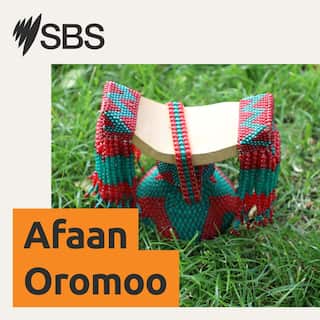 SBS-PodcastTiles_3000x3000_Afaan_oromoo_New-November