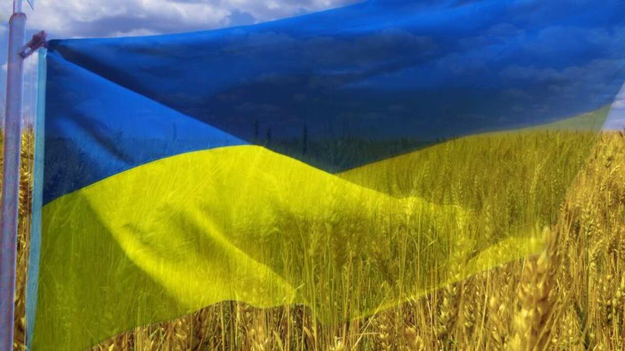 Ukrainian flag