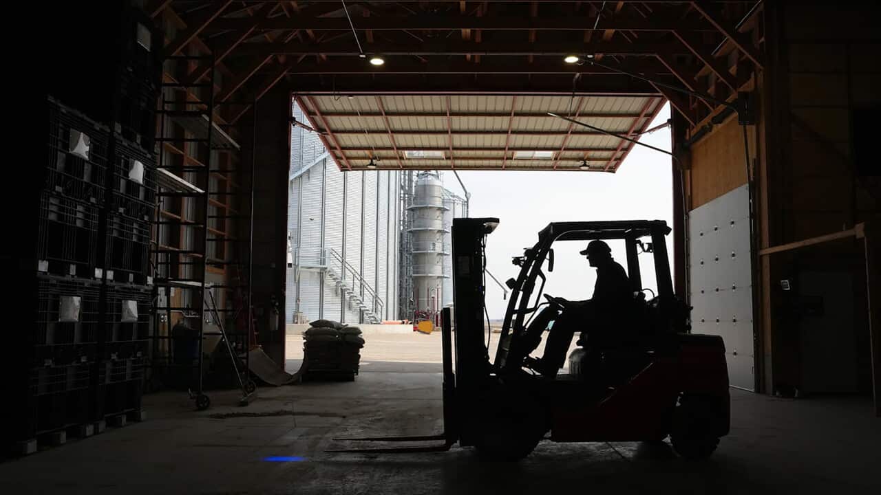 MN: Soybean farmer prepares seed shipments amid China tariff concerns