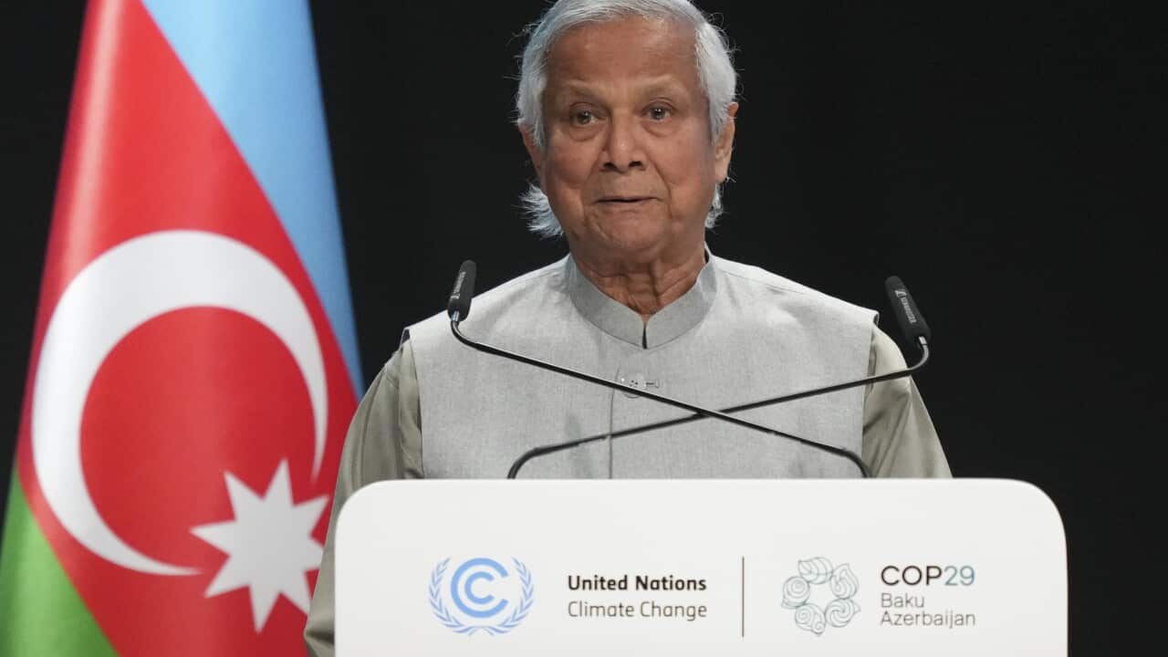COP29 Climate Summit